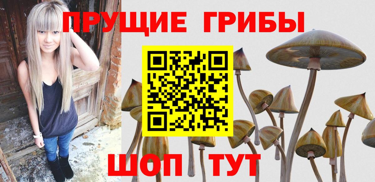 ГАШИШ Лыткарино
