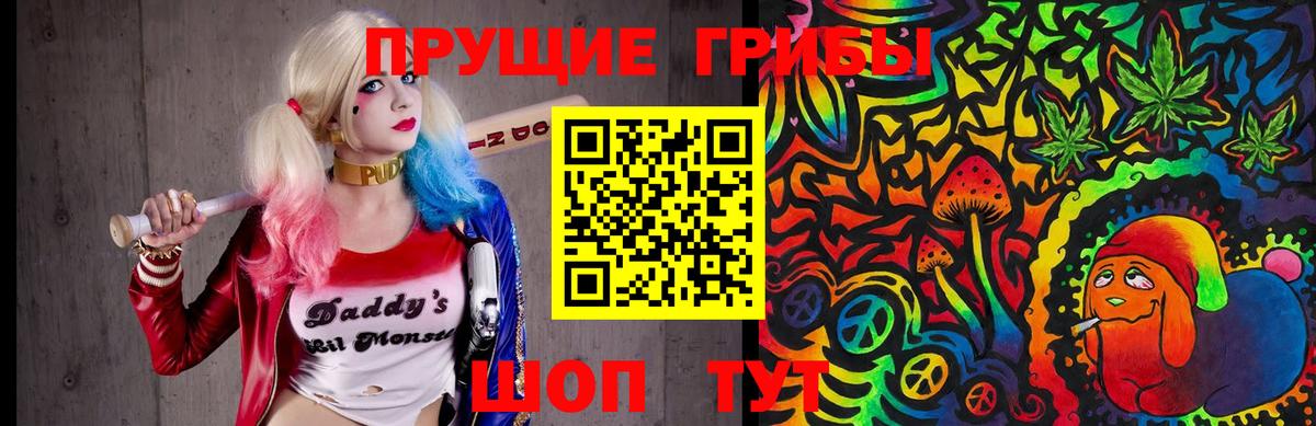 Лыткарино  Псилоцибиновые грибы Psilocybe  Вход с VPN  Галлюциногенные грибы Cubensis 